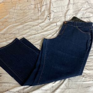 Lane Bryant Tighten Tummy Technology Womens Jeans